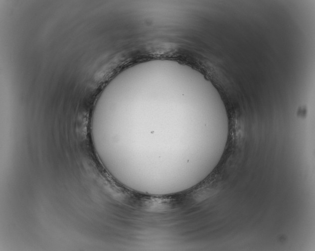 X0000110920664200907021500