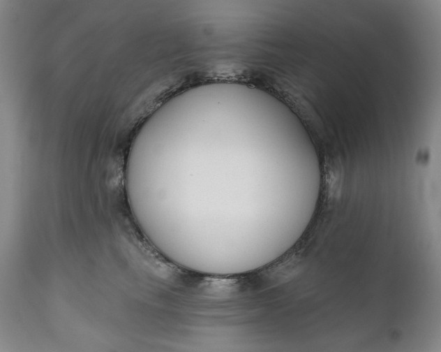 X0000110920665200907021500