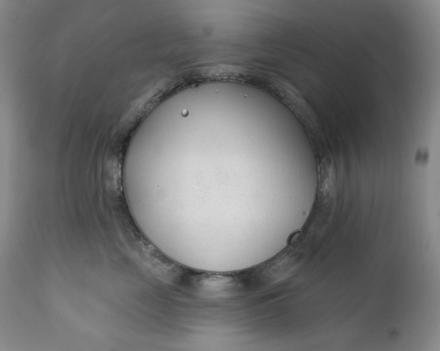 X0000110920669200907021500