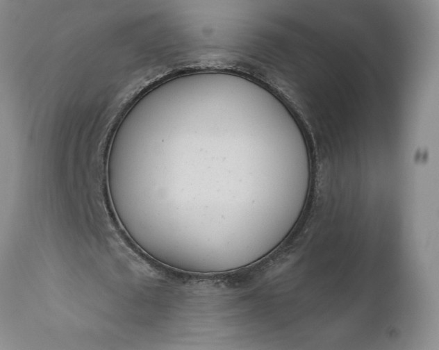 X0000110920673200907021500