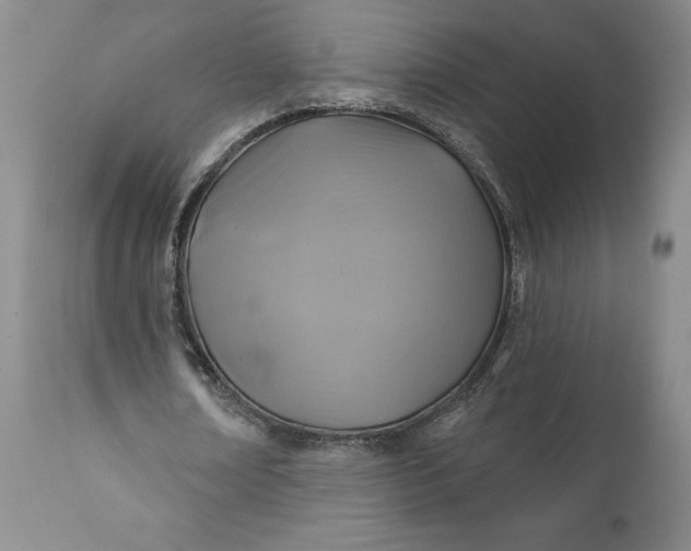 X0000110920674200907021500