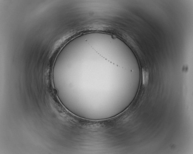 X0000110920675200907021500