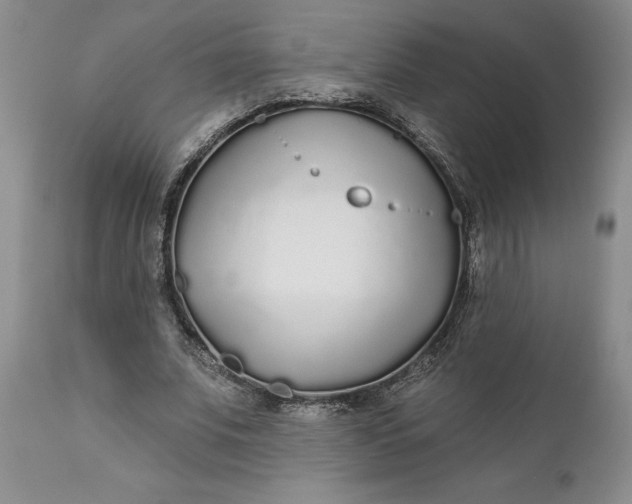 X0000110920679200907021500