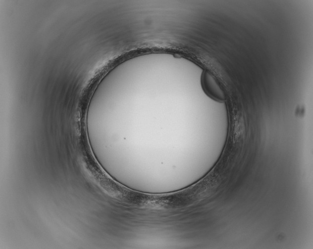 X0000110920680200907021500