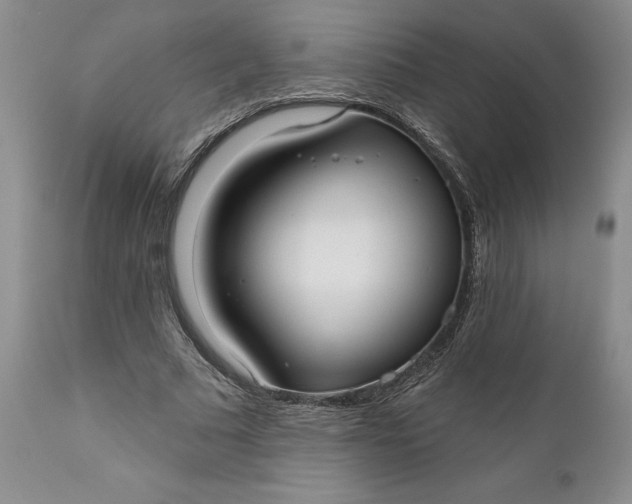 X0000110920681200907021500