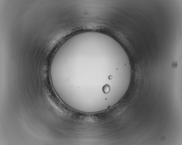 X0000110920683200907021500