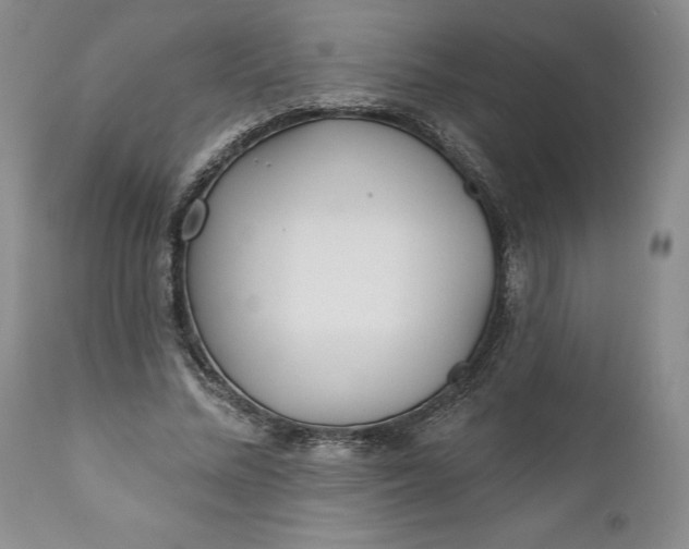 X0000110920684200907021500
