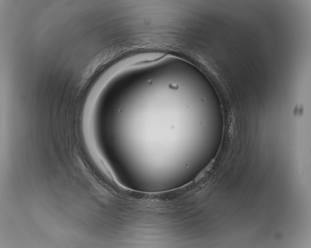 X0000110920685200907021500
