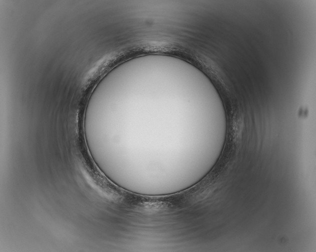 X0000110920686200907021500
