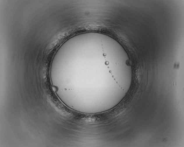 X0000110920687200907021500