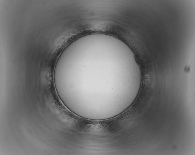 X0000110920688200907021500