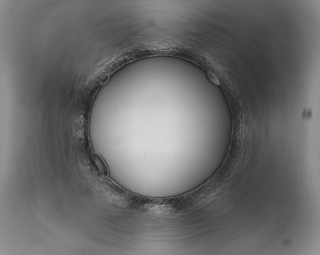 X0000110920689200907021500