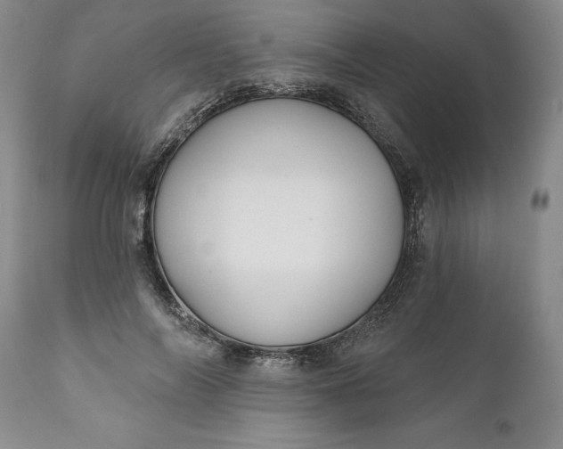 X0000110920694200907021500