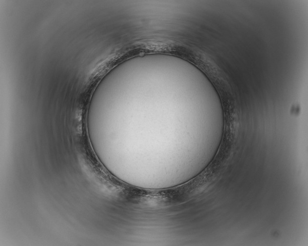 X0000110920696200907021500