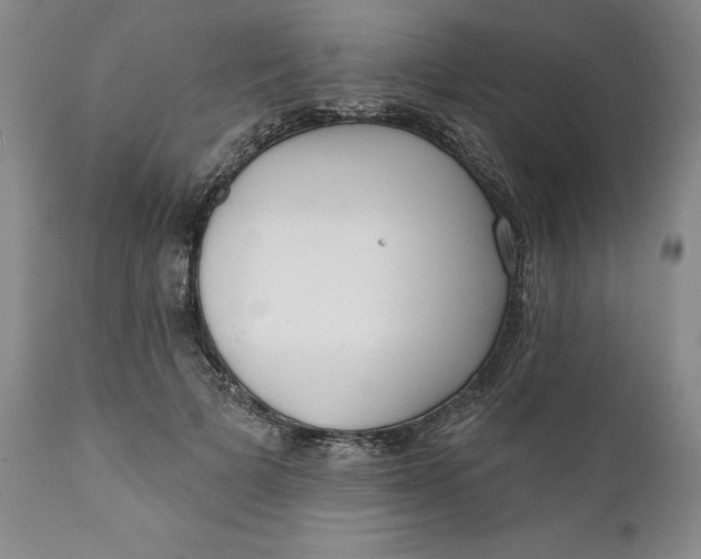 X0000110920697200907021459