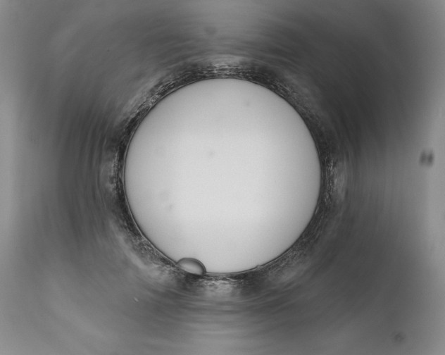 X0000110920698200907021459