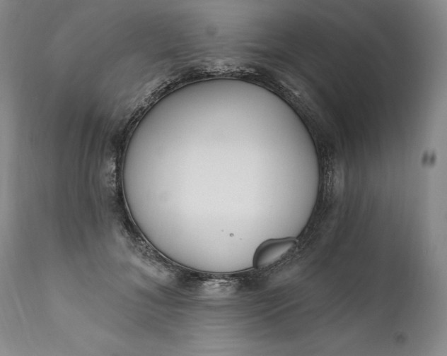 X0000110920700200907021459