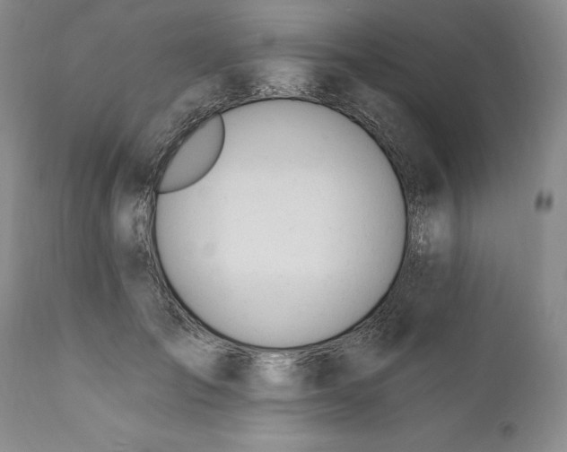 X0000110920701200907021459