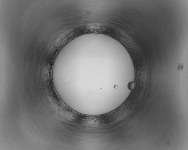 X0000110920702200907021459
