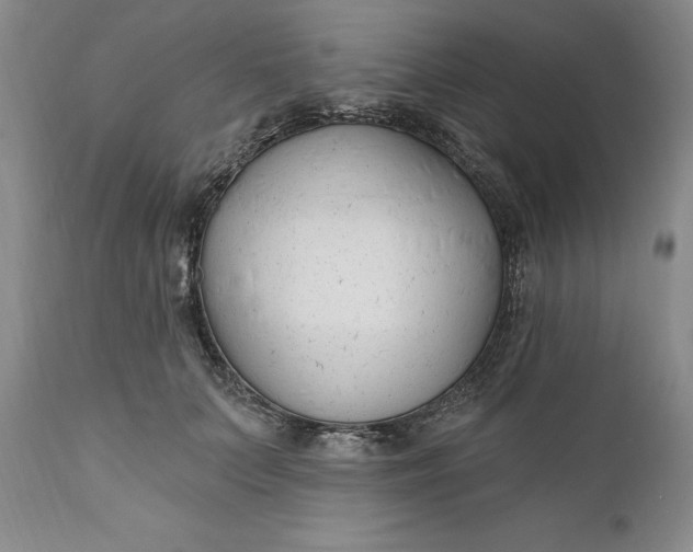 X0000110920703200907021459