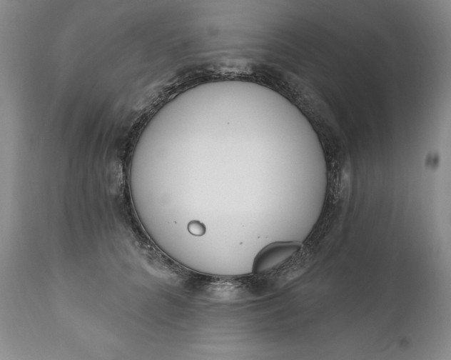 X0000110920704200907021459