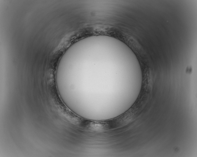 X0000110920706200907021459