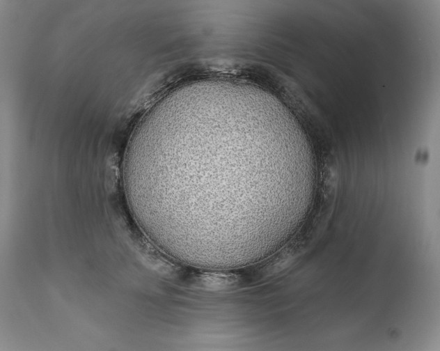 X0000110920707200907021459