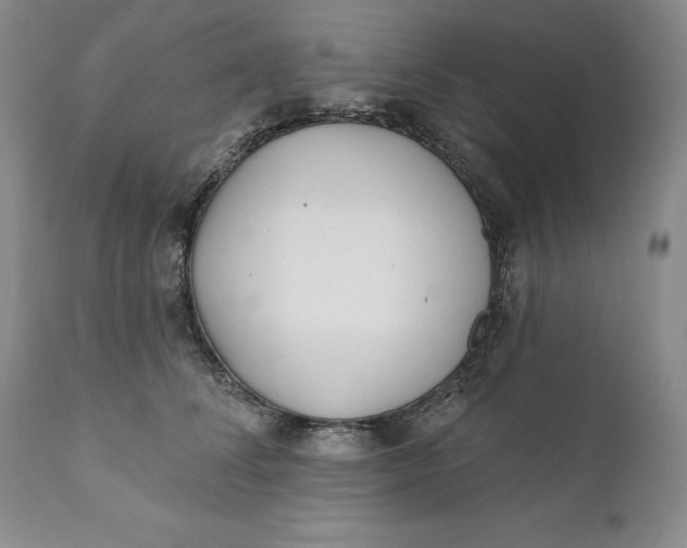 X0000110920708200907021459