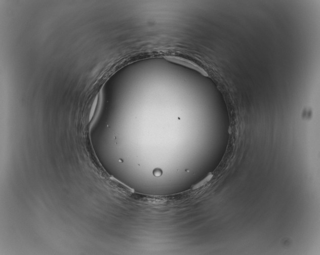 X0000110920709200907021459