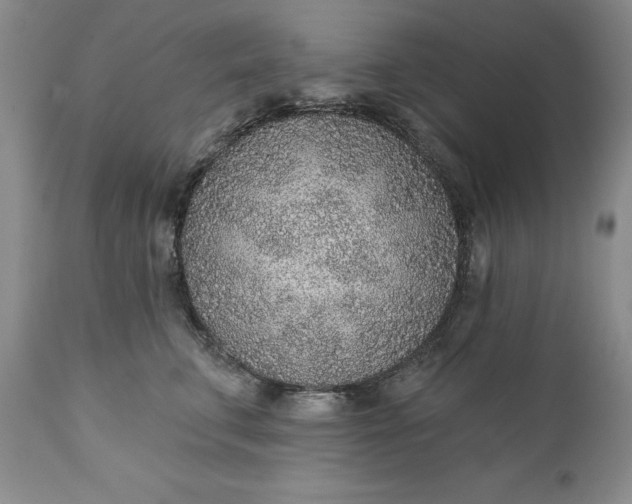X0000110920711200907021459