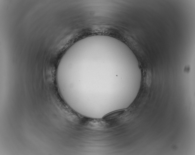 X0000110920712200907021459