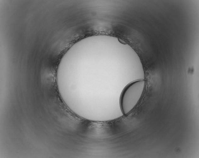 X0000110920713200907021459