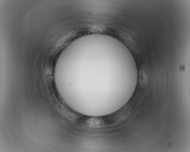 X0000110920714200907021459