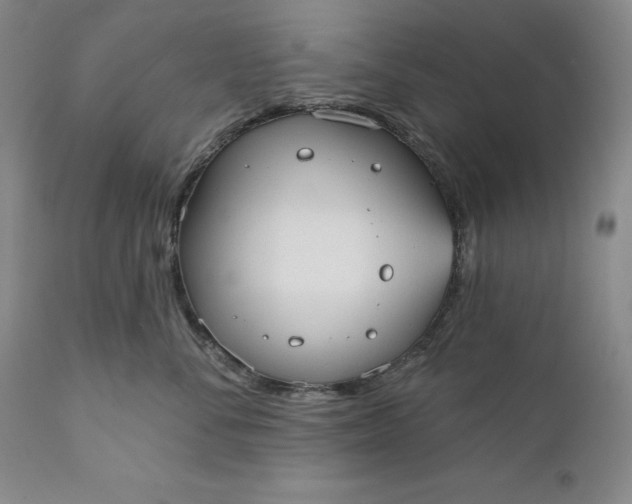 X0000110920716200907021459