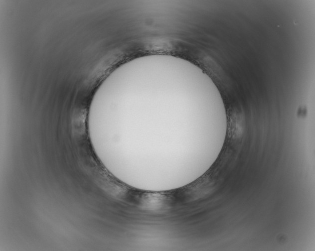 X0000110920717200907021459