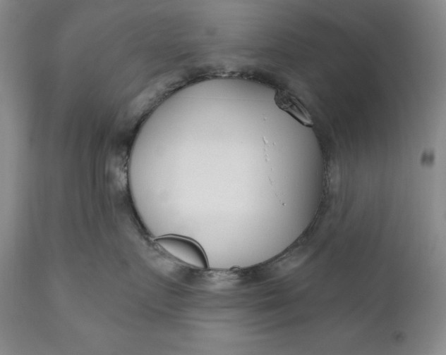 X0000110920719200907021459