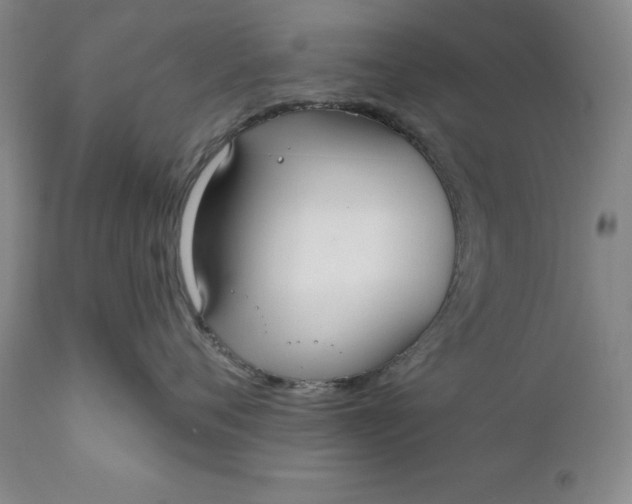 X0000110920720200907021459