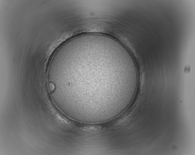 X0000110920721200907021458
