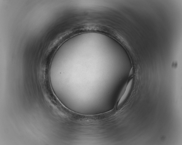 X0000110920722200907021458