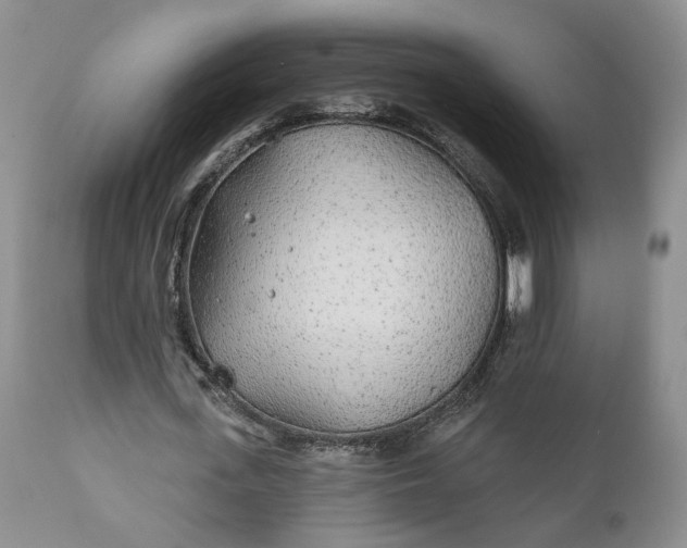 X0000110920723200907021458