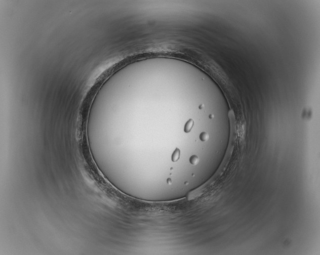 X0000110920724200907021458