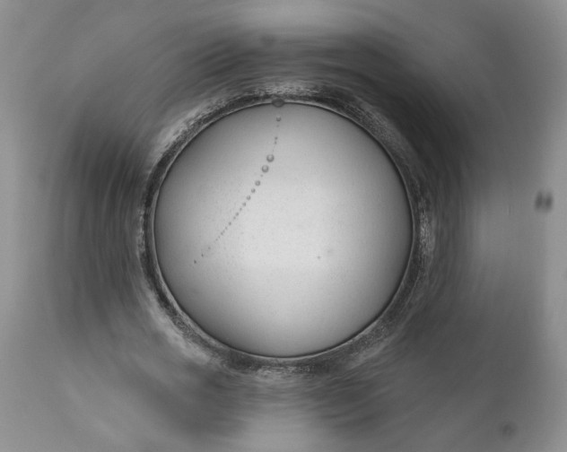 X0000110920725200907021458
