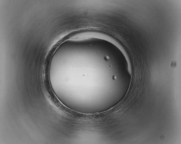 X0000110920726200907021458