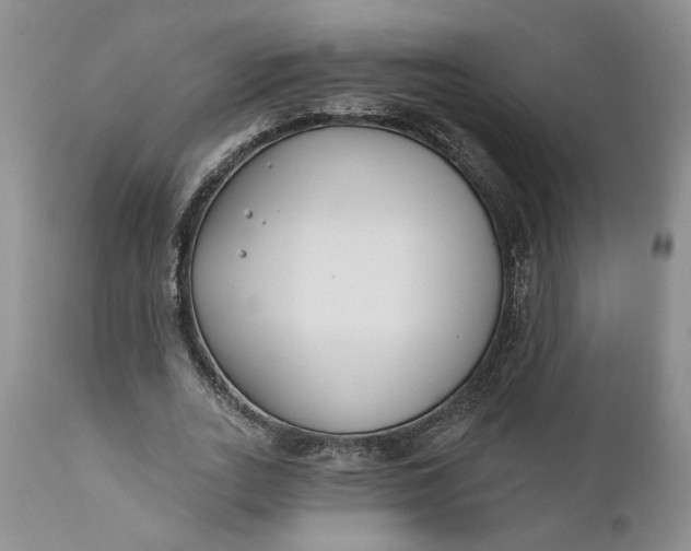 X0000110920727200907021458