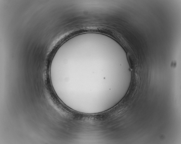 X0000110920728200907021458