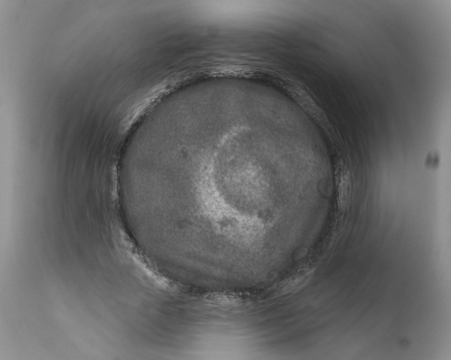 X0000110920729200907021458