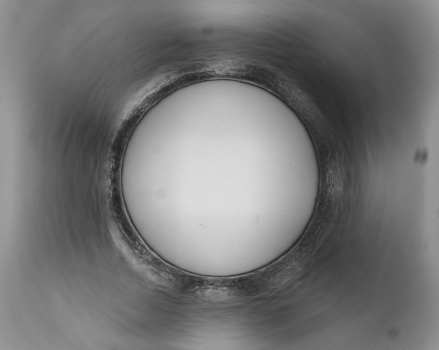 X0000110920730200907021458