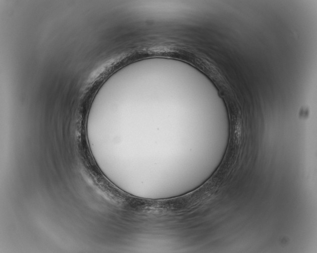 X0000110920732200907021458