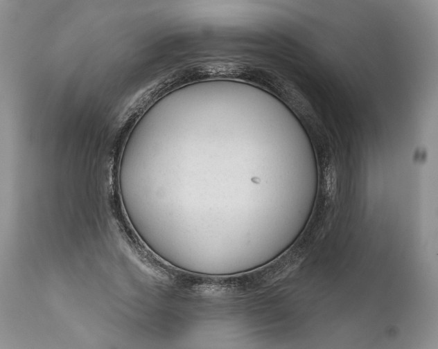 X0000110920733200907021458