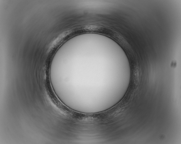 X0000110920734200907021458